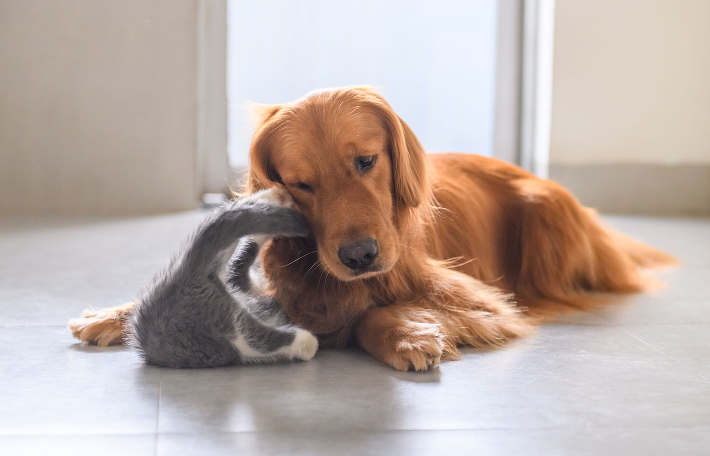 vaccination-sec2left